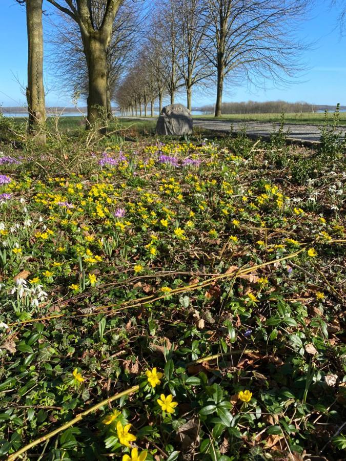 Villa Vibaek Sønderborg Esterno foto