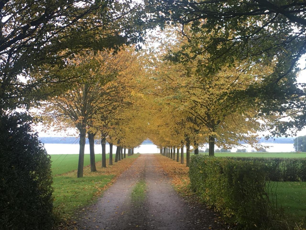 Villa Vibaek Sønderborg Esterno foto