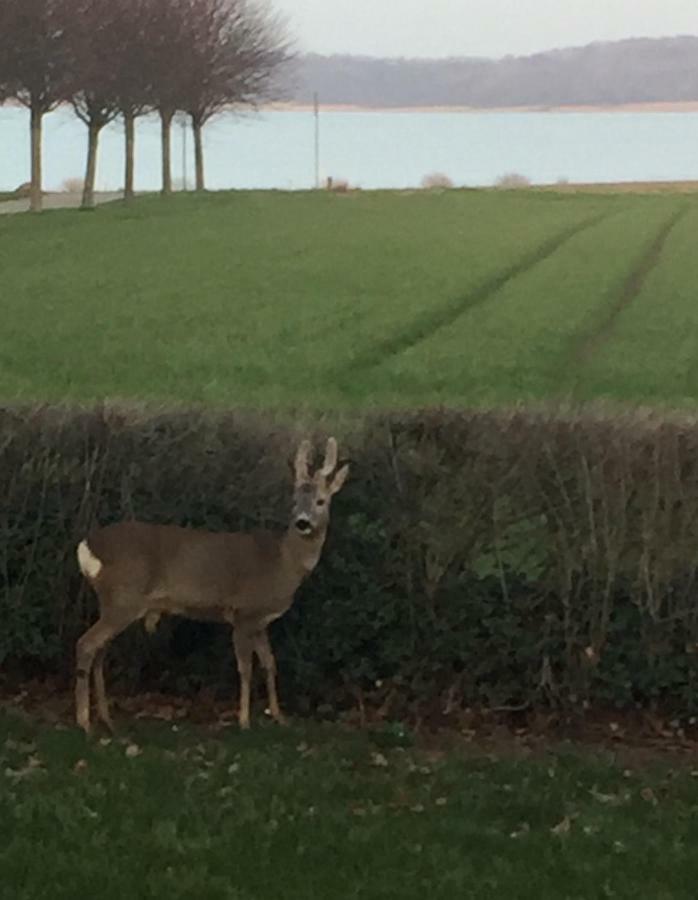 Villa Vibaek Sønderborg Esterno foto
