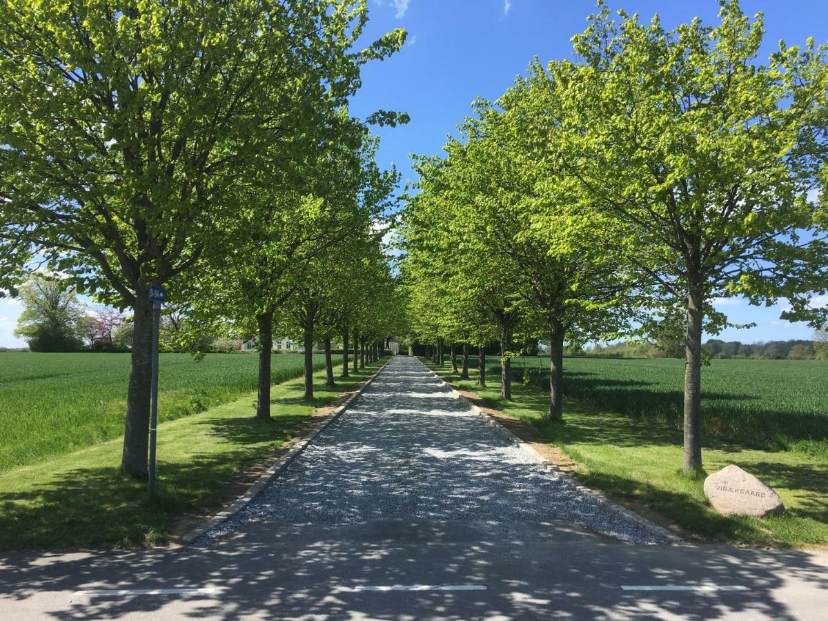 Villa Vibaek Sønderborg Esterno foto